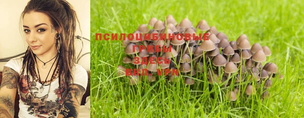 2c-b Тихвин