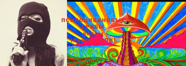 apvp Вязники