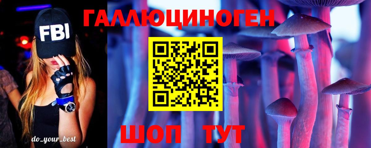 Псилоцибиновые грибы Psilocybe  Можайск  купить наркоту  Галлюциногенные грибы прущие грибы 