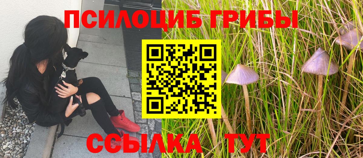Псилоцибиновые грибы MAGIC MUSHROOMS Можайск