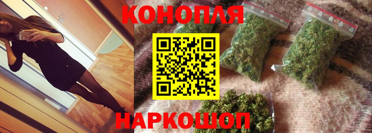 Марихуана сатива Можайск